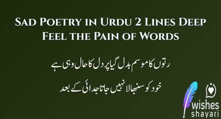 Sad Poetry in Urdu 2 Lines Deep  Feel the Pain of Words