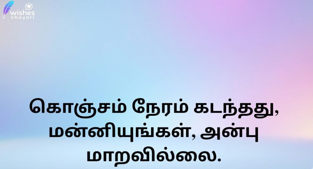 Sorry for Late Wish Meaning in Tamil