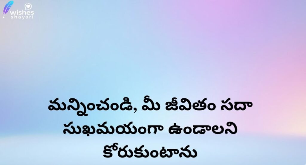 Sorry for Late Wish Meaning in Telugu